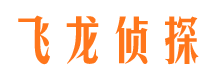 东坡侦探